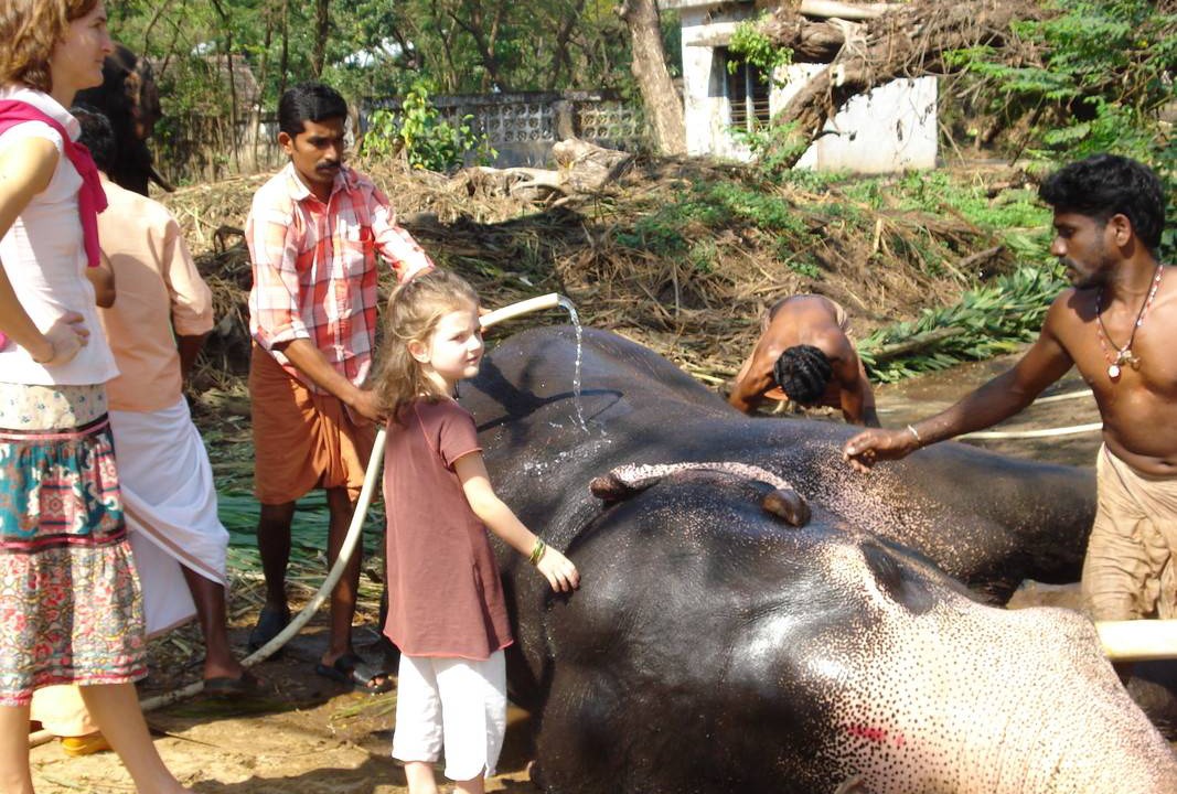 Photo of Others in Alattur