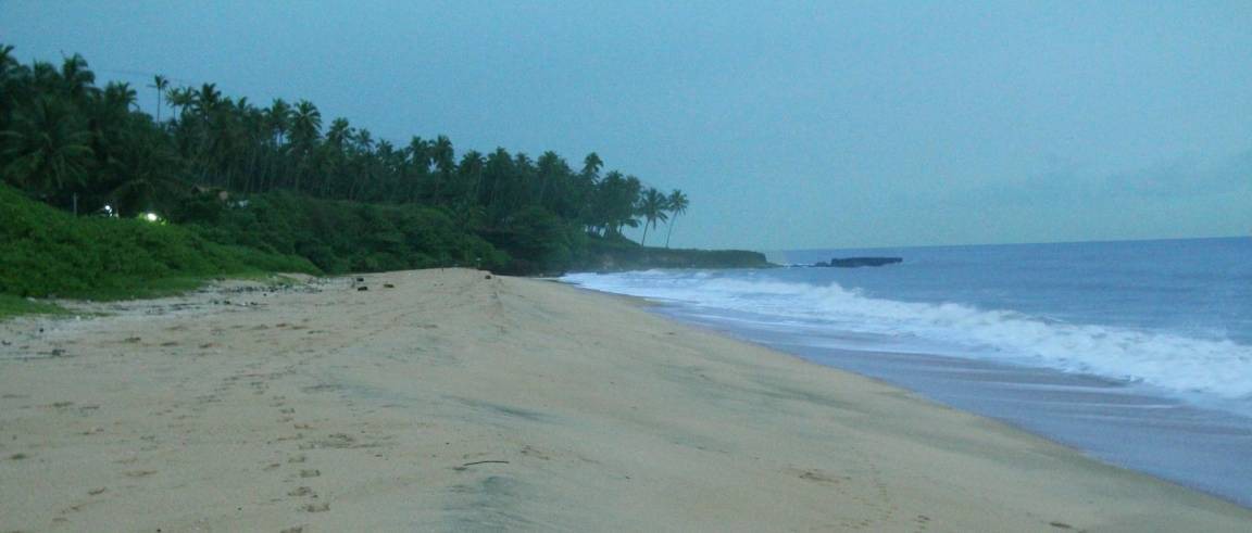 Photo of Others in Kannur