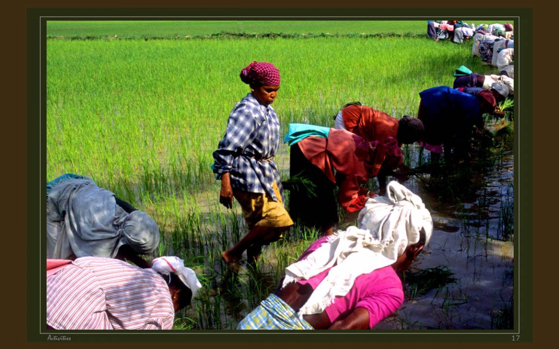 Photo of Human In Picture in Alattur
