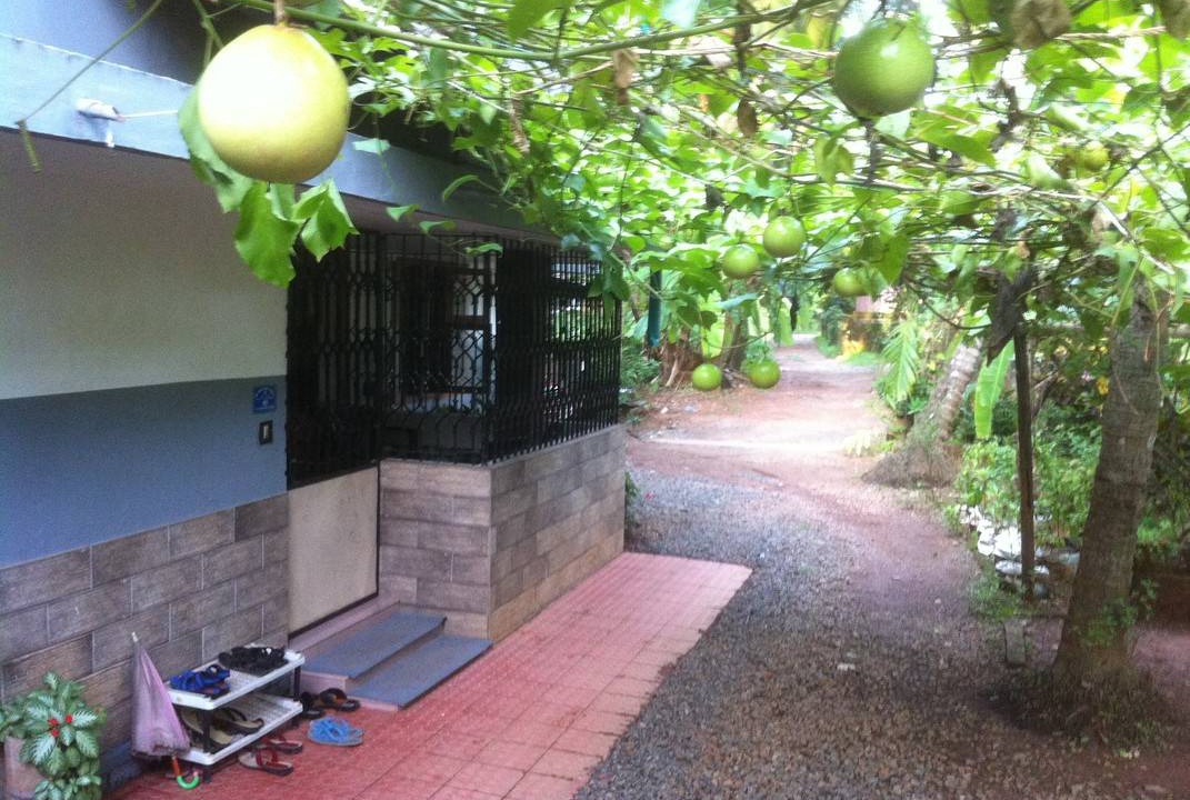 Photo of Others in Kozhikode