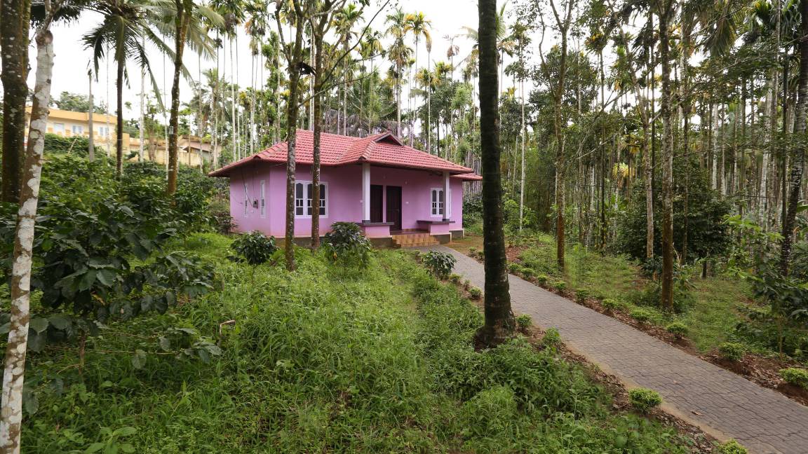 Photo of Others in Kalpetta