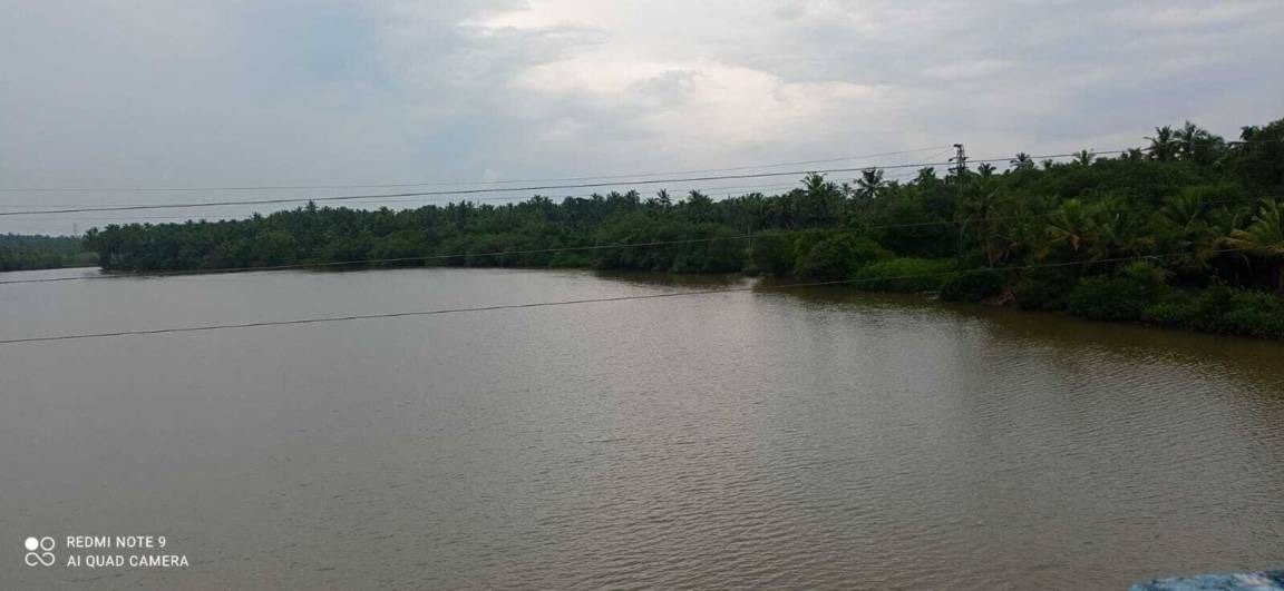 Photo of Others in Kannur