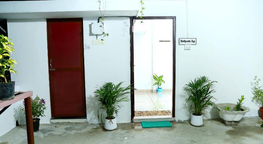 Photo of Others in Kochi