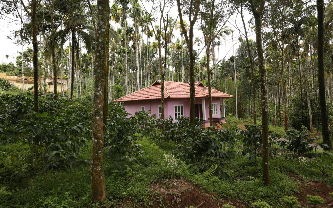Photo of Others in Kalpetta