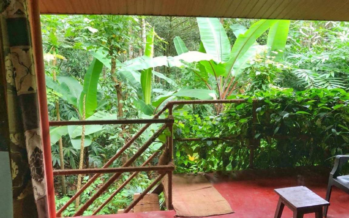 Photo of Patio Balcony in Pirmed
