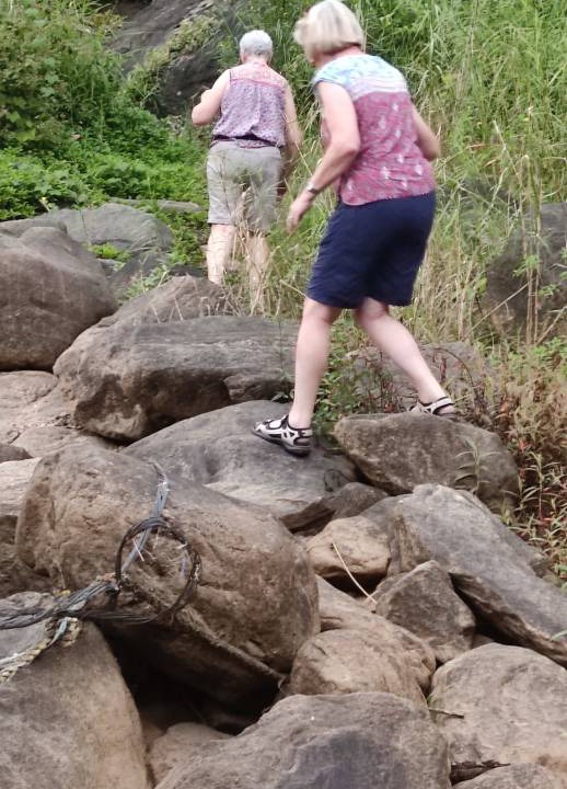 Photo of Others in Devikolam