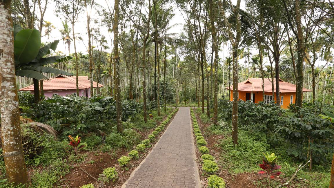 Photo of Others in Kalpetta