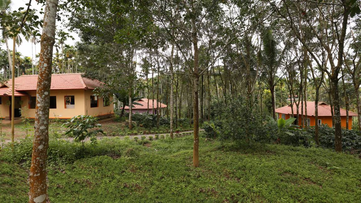Photo of Others in Kalpetta