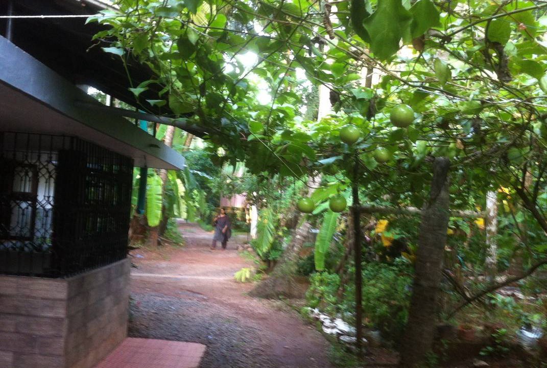 Photo of Others in Kozhikode