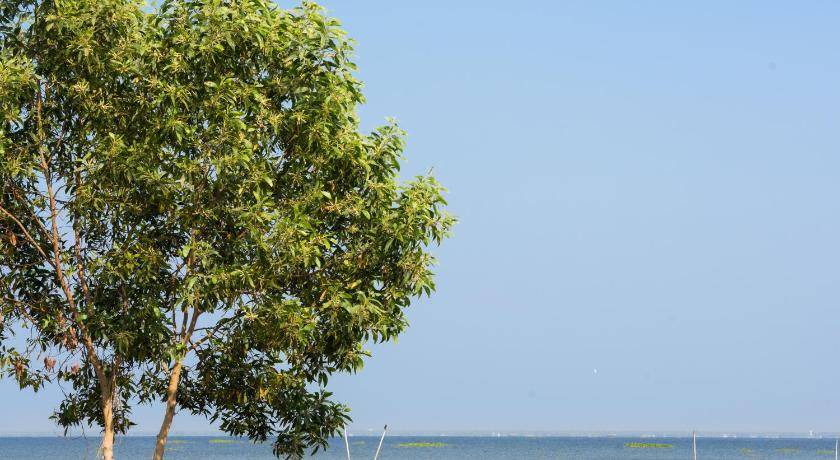Photo of Others in Alappuzha