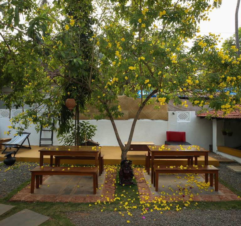 Photo of Others in Anjuna