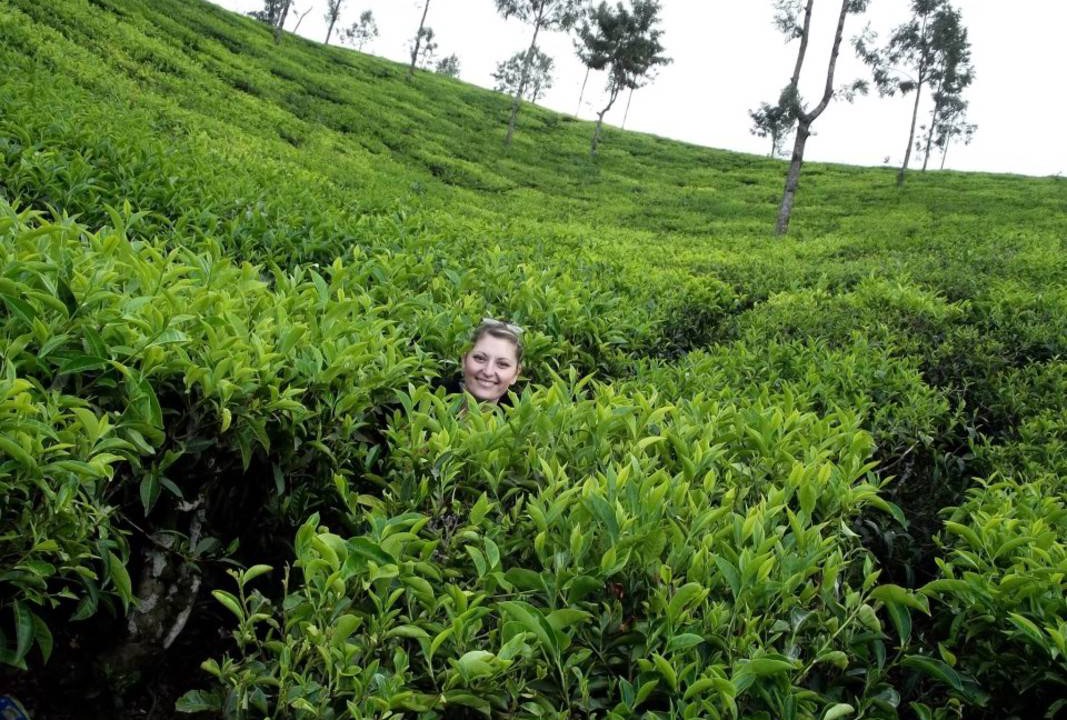 Photo of Others in Kochi