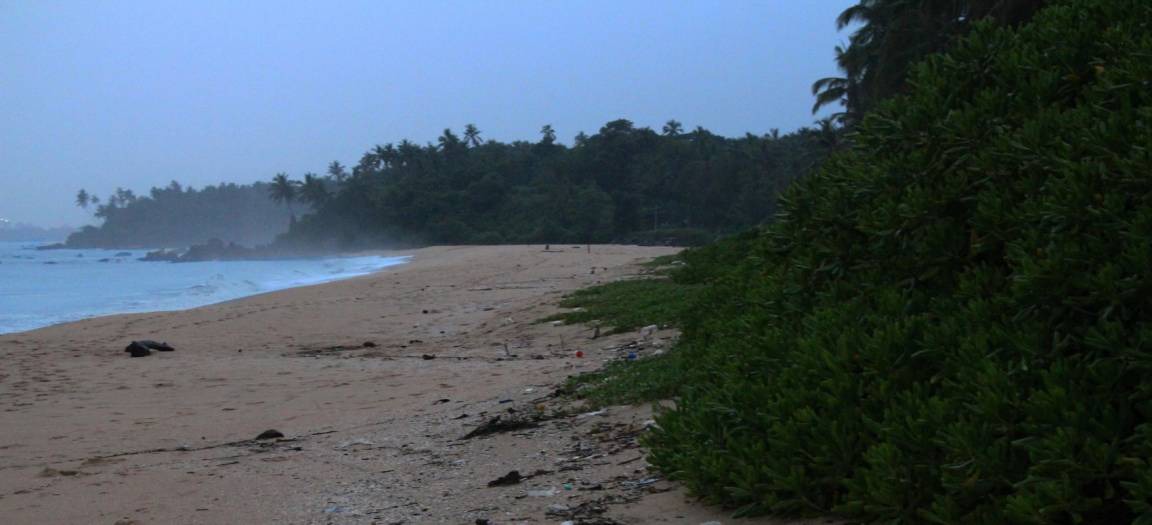Photo of Others in Kannur