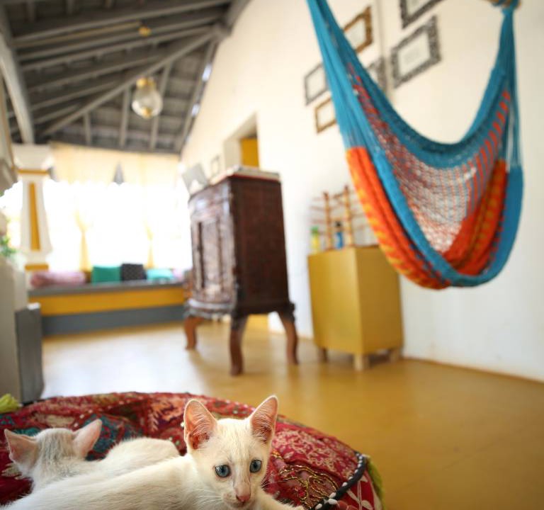 Photo of Others in Anjuna
