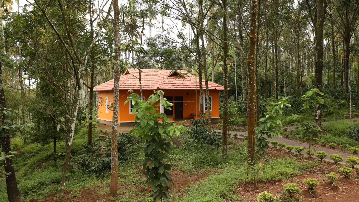 Photo of Others in Kalpetta