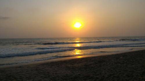 Photo of Others in Kannur