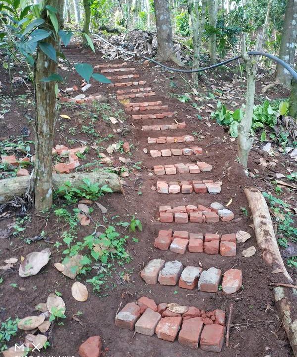 Photo of Others in Devikolam