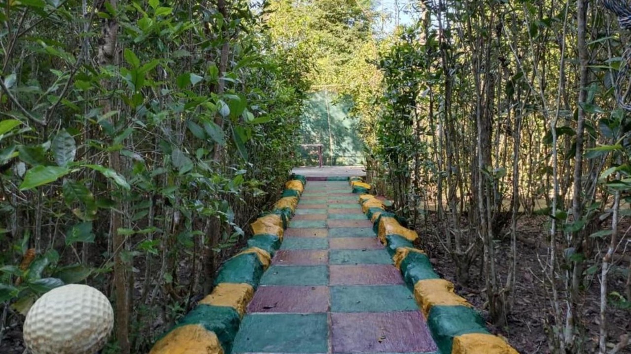 Photo of Outdoor in Samaguri