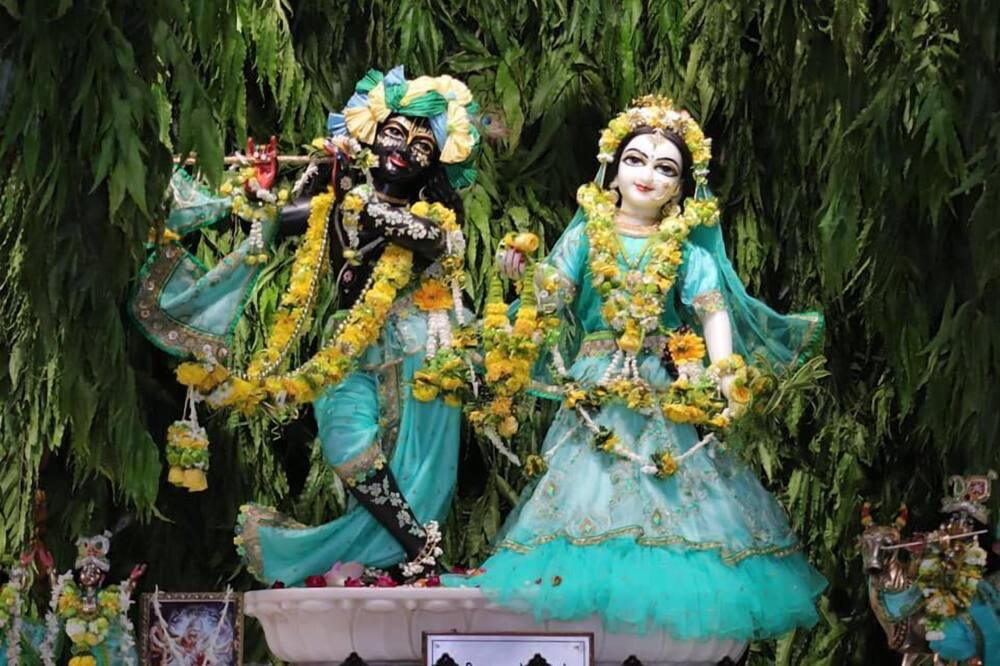 Photo of Others in Vasundhara