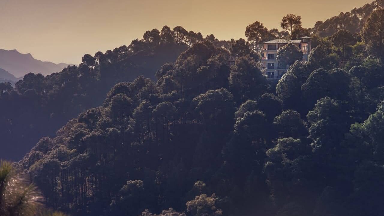 Photo of Others in Kasauli
