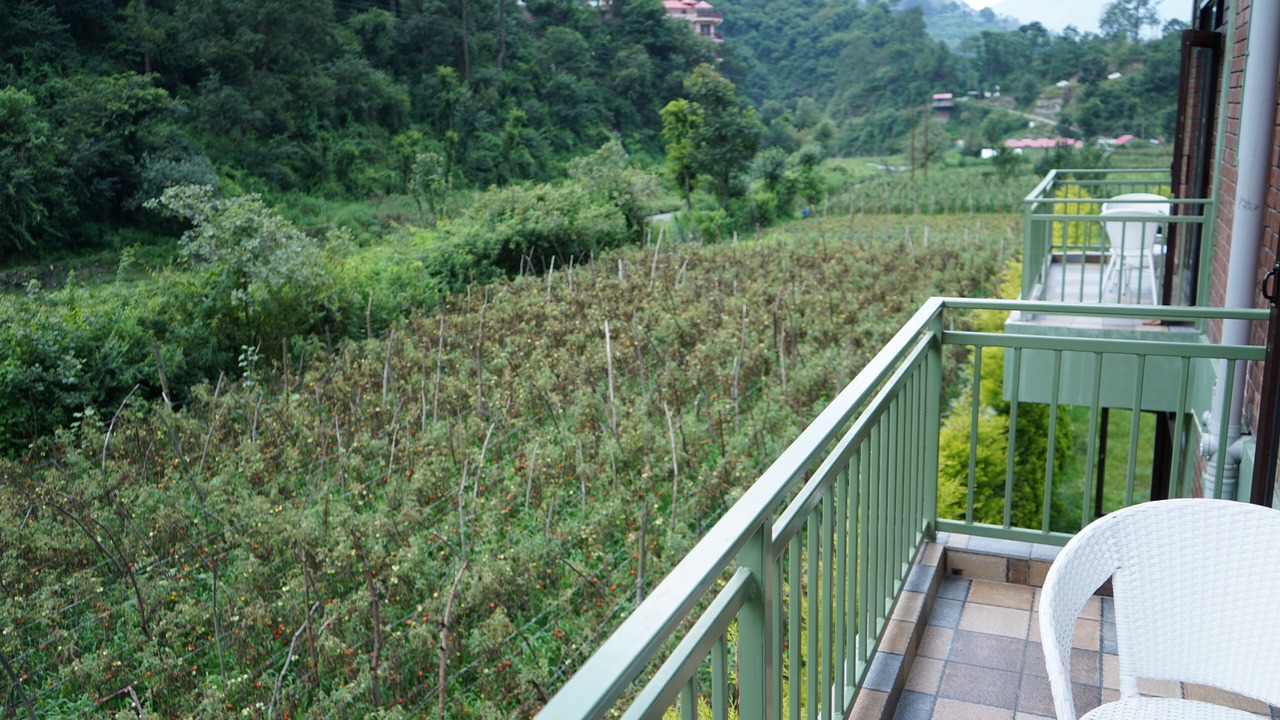 Photo of Bedroom in Kandaghat