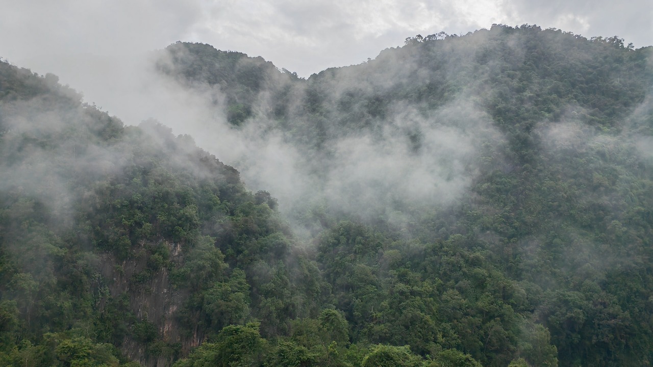 Photo of Outdoor in Ulu Kinta