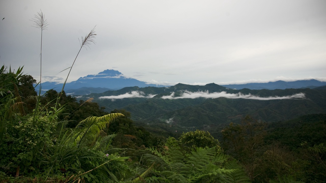 Photo of Others in Kota Kinabalu
