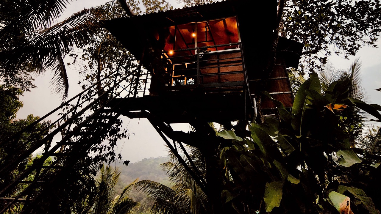 Photo of Outdoor in Mananthavady