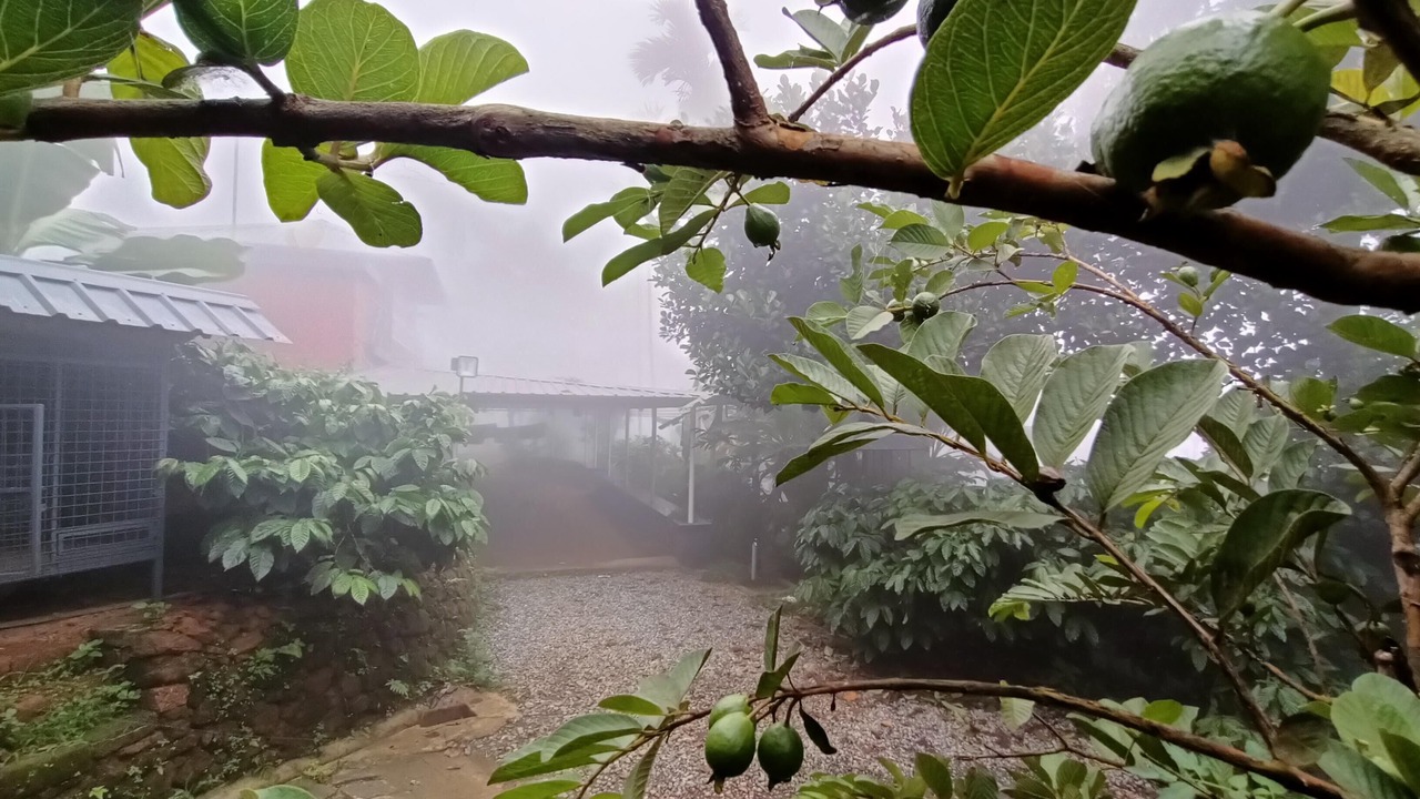 Photo of Outdoor in Mananthavady