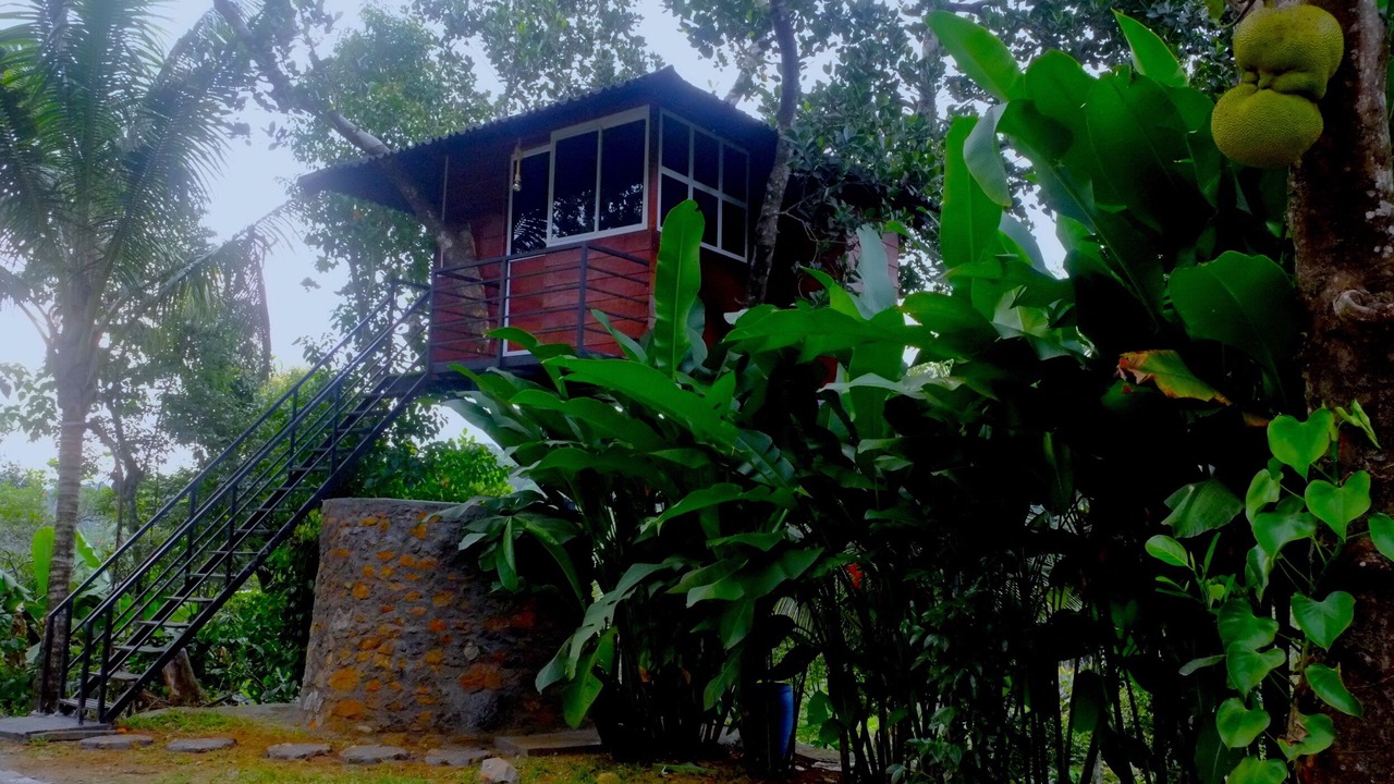 Photo of Outdoor in Mananthavady