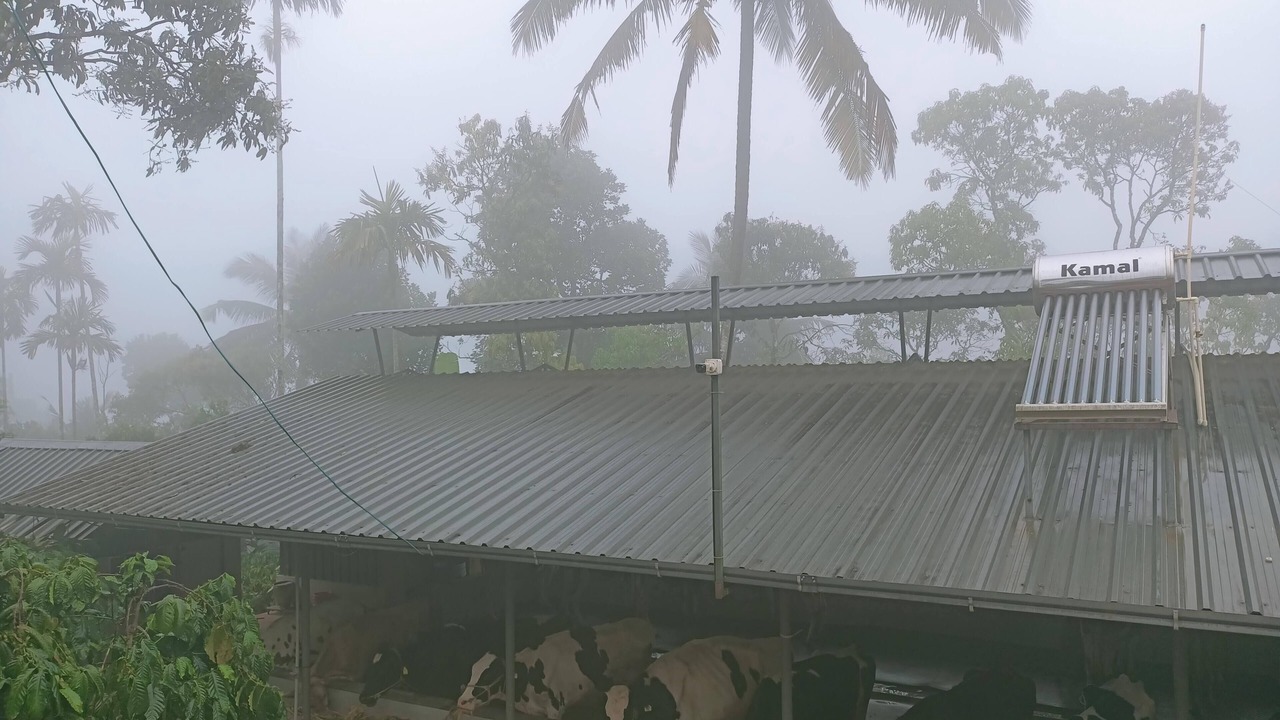 Photo of Outdoor in Mananthavady