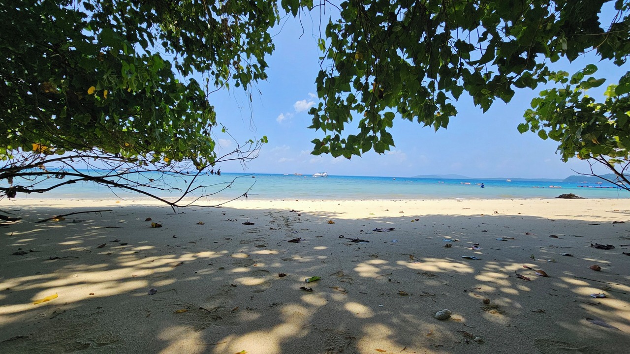 Photo of Others in Havelock Island