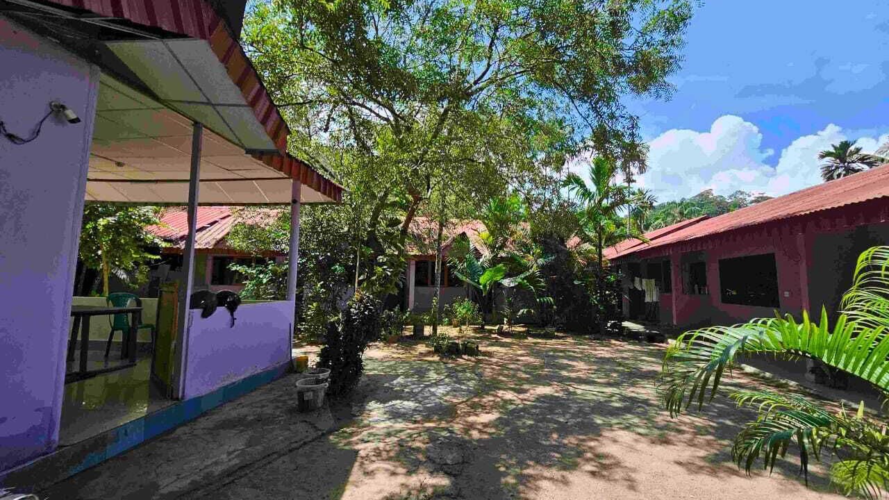 Photo of Outdoor in Havelock Island