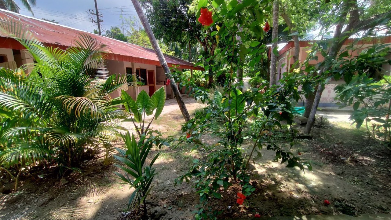 Photo of Outdoor in Havelock Island