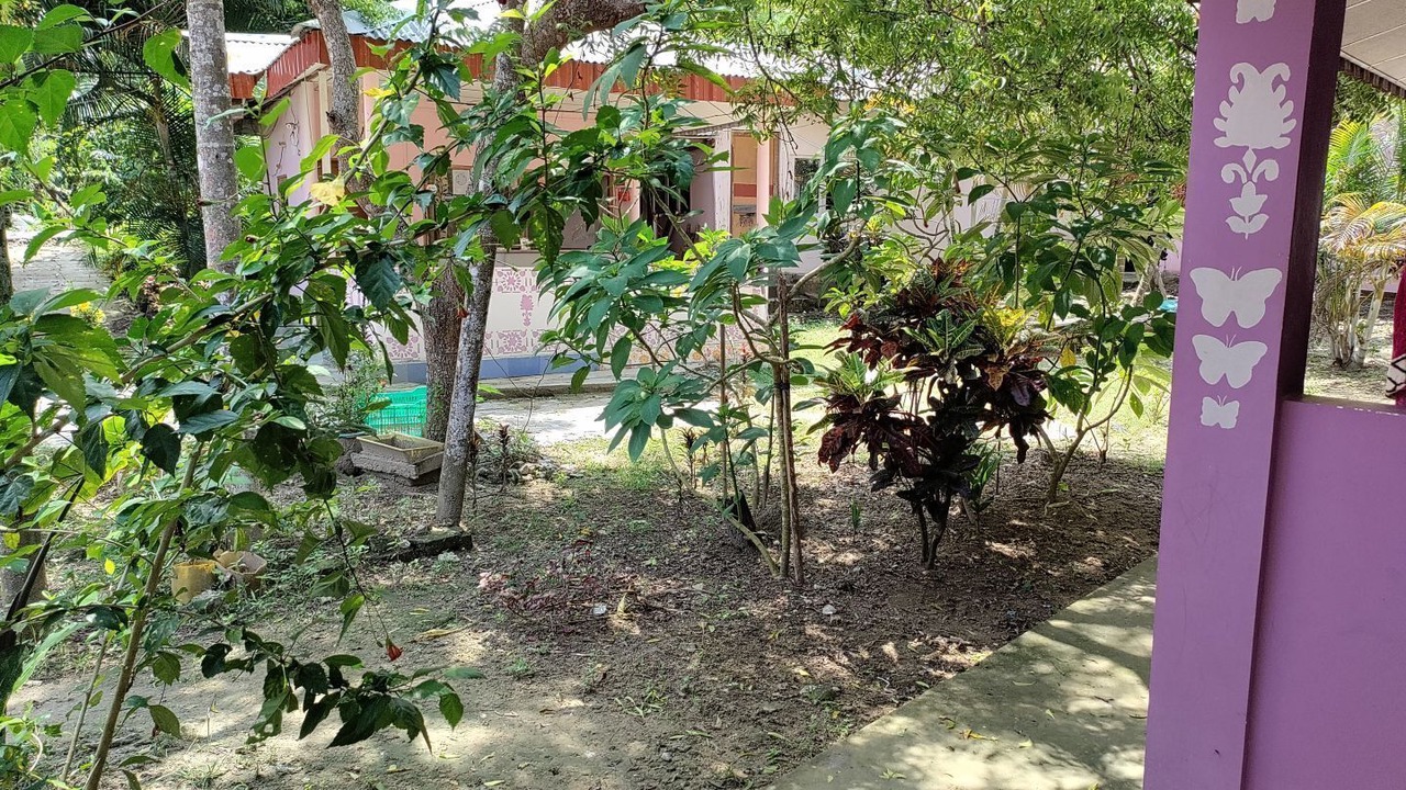 Photo of Outdoor in Havelock Island