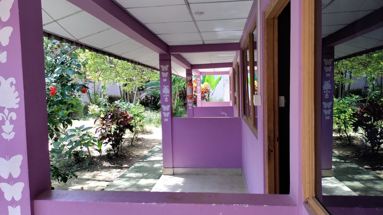 Photo of Outdoor in Havelock Island