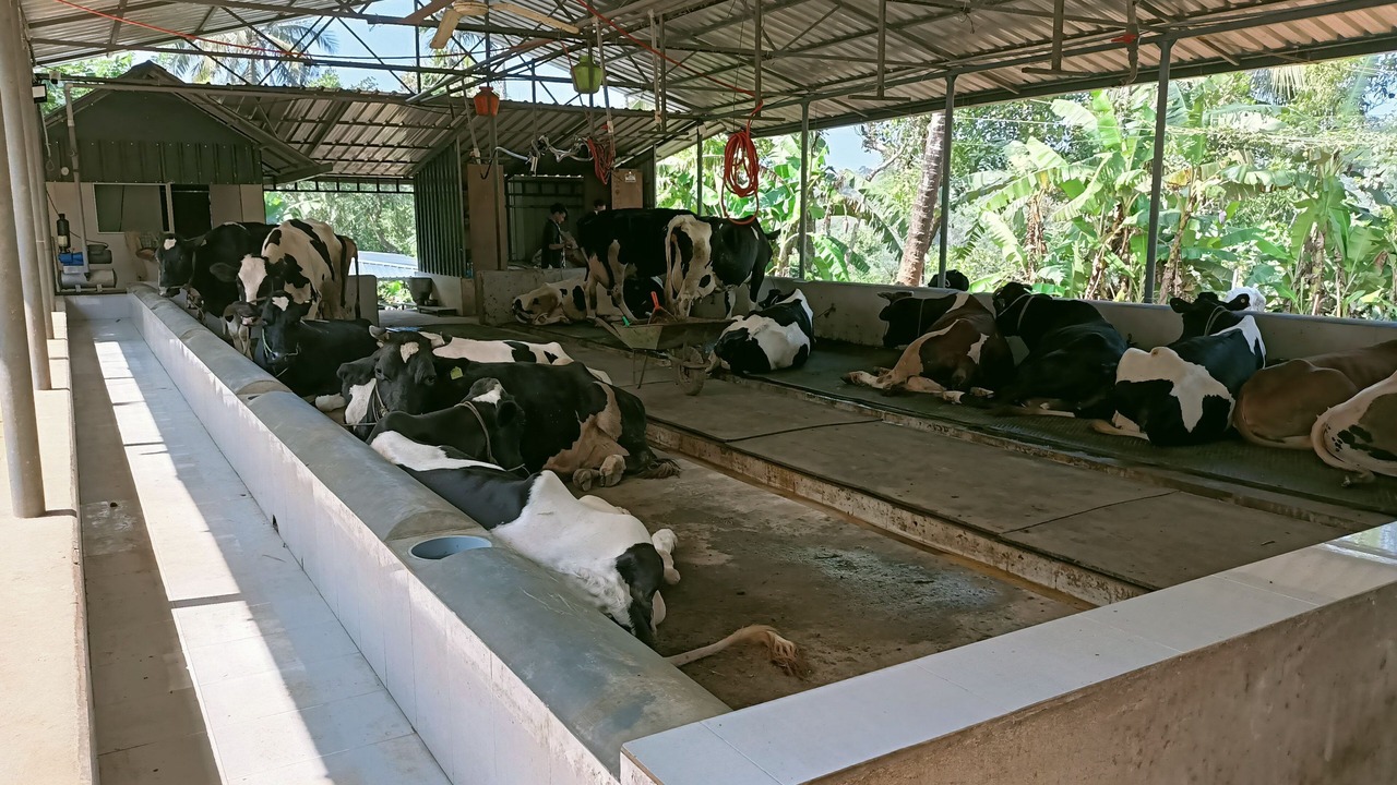 Photo of Outdoor in Mananthavady