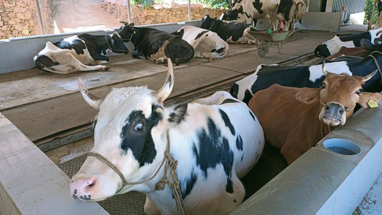 Photo of Outdoor in Mananthavady