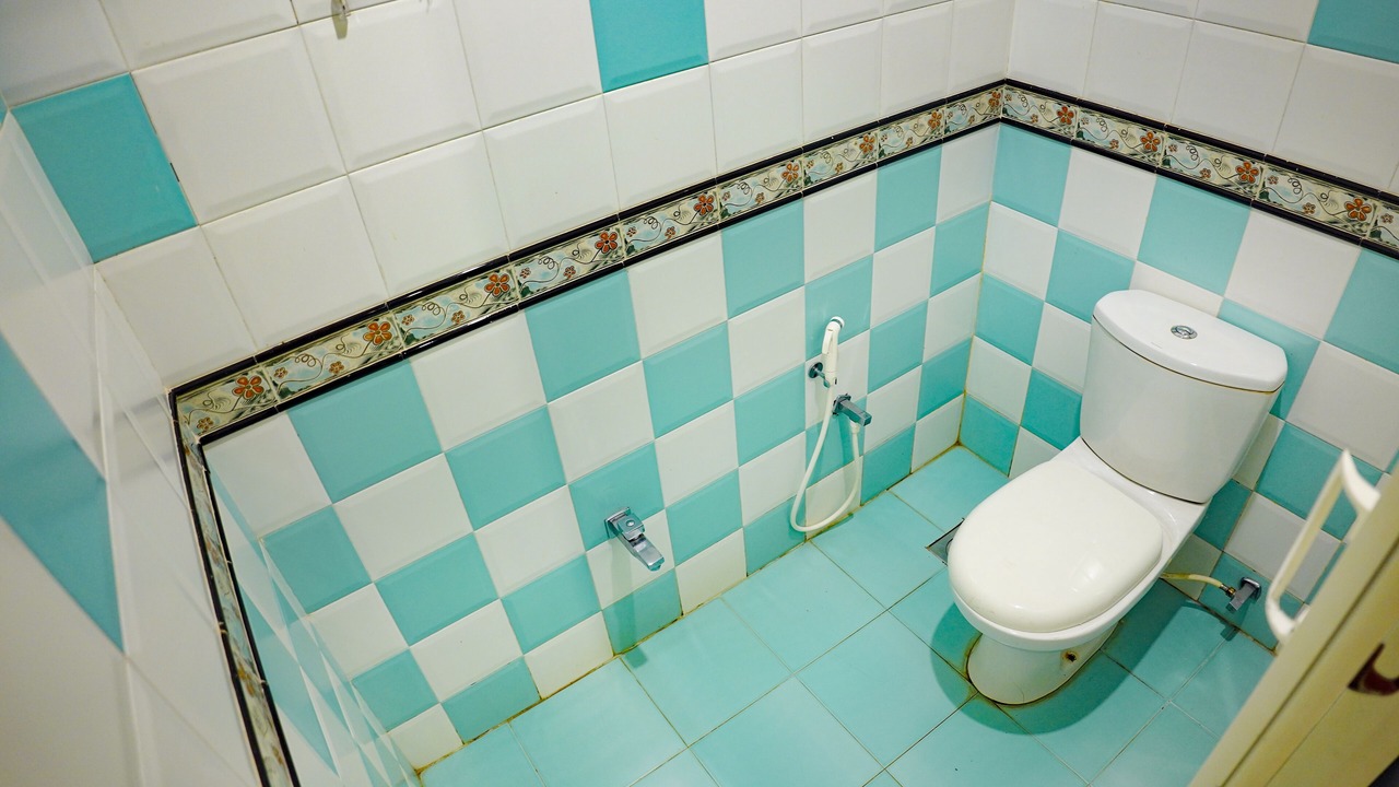 Photo of Bathroom in Pulamanthole
