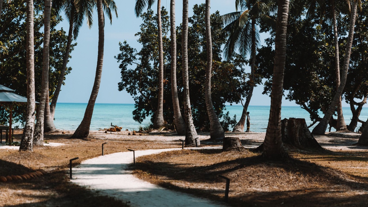 Photo of Outdoor in Havelock Island