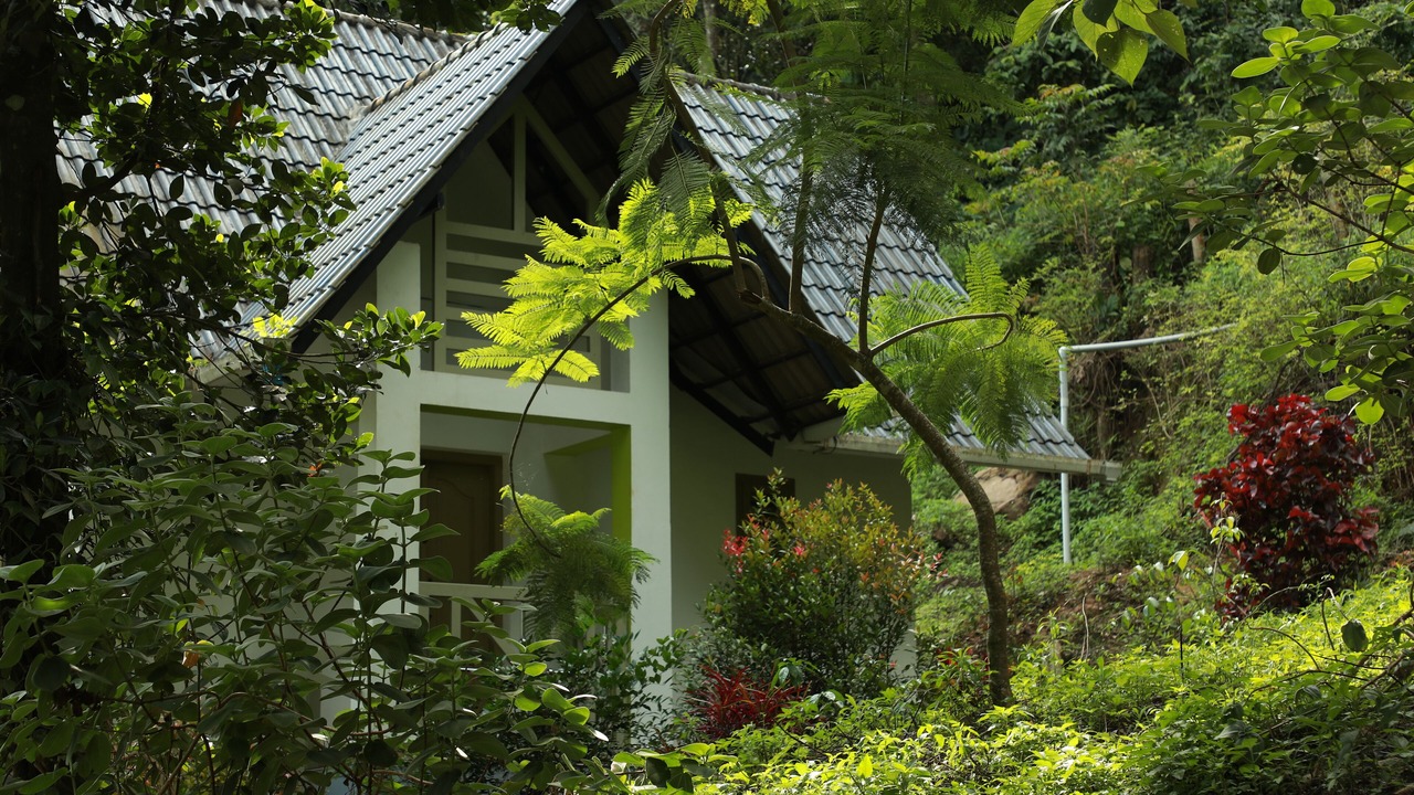 Photo of Outdoor in Kalpetta