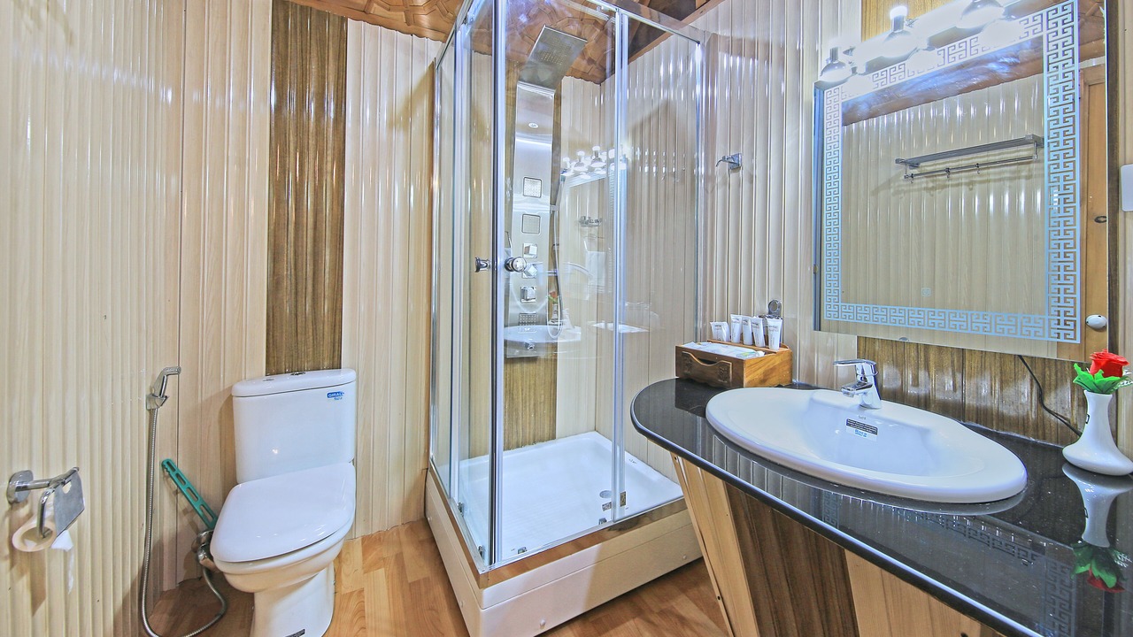 Photo of Bathroom in Dal Lake