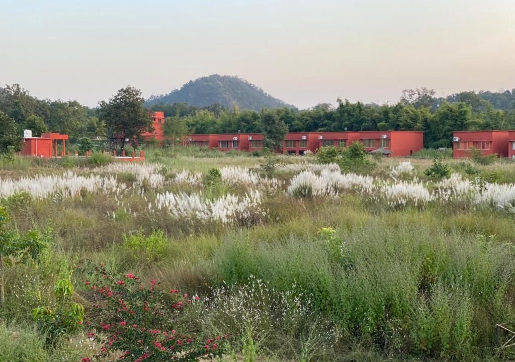 Photo of Outdoor in Umaria