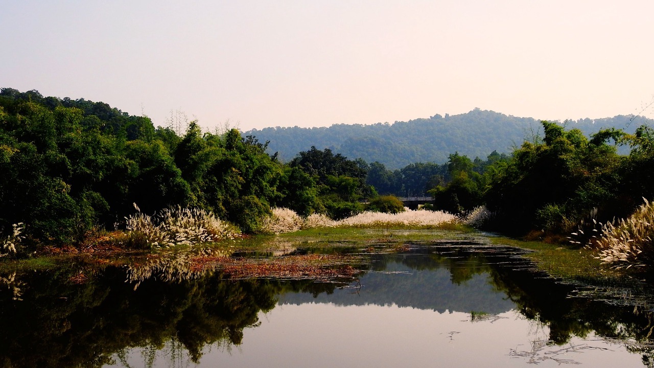 Photo of Outdoor in Umaria