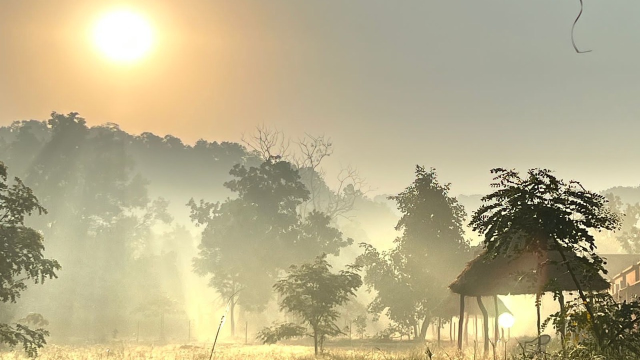 Photo of Outdoor in Umaria
