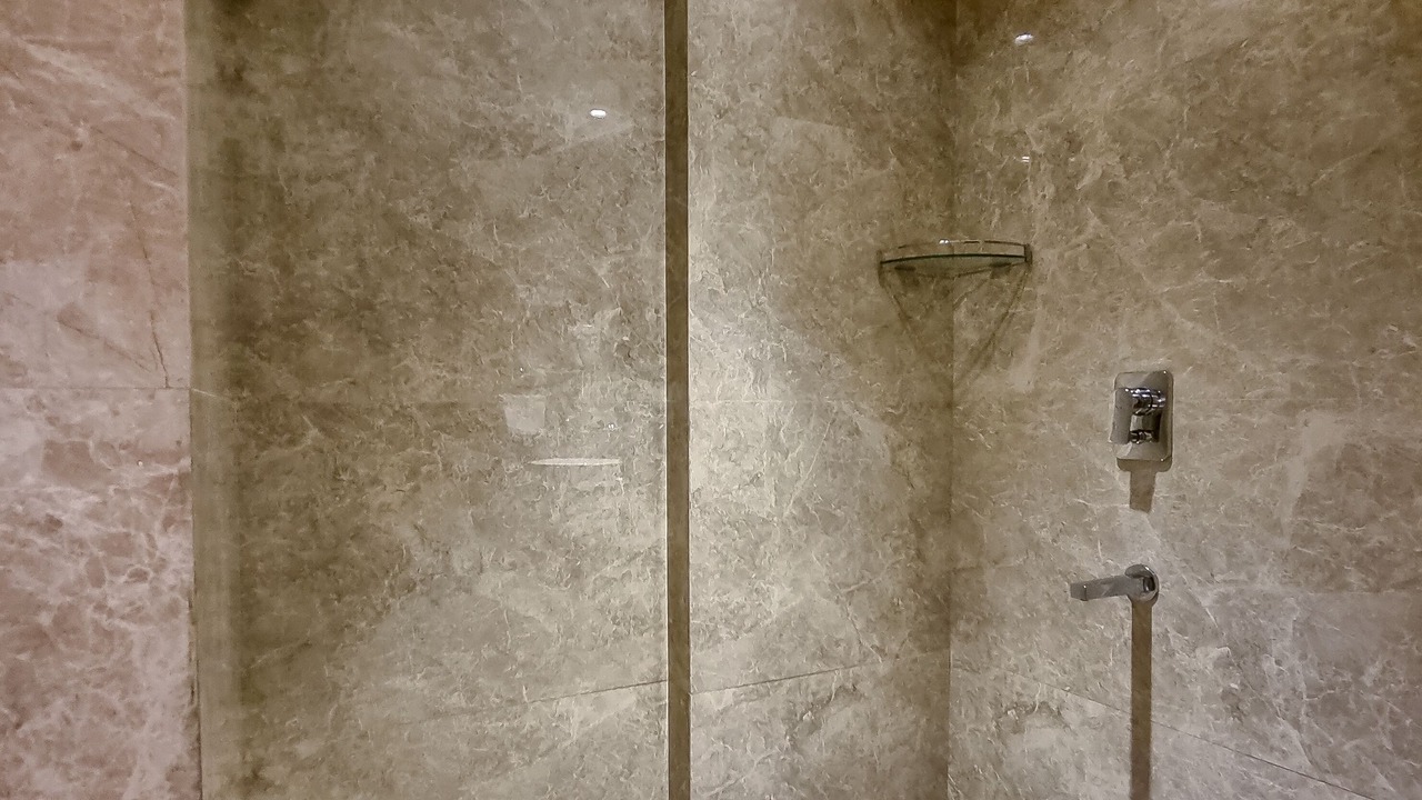 Photo of Bathroom in Boisar
