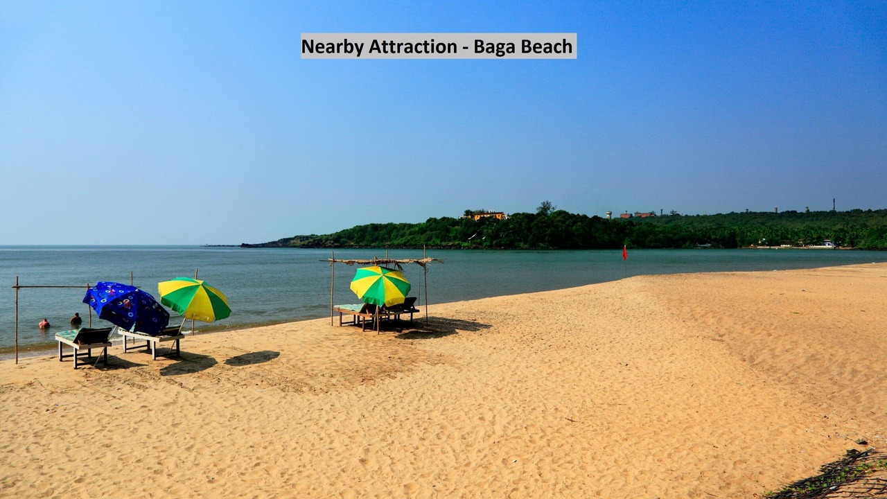 Photo of Others in Baga