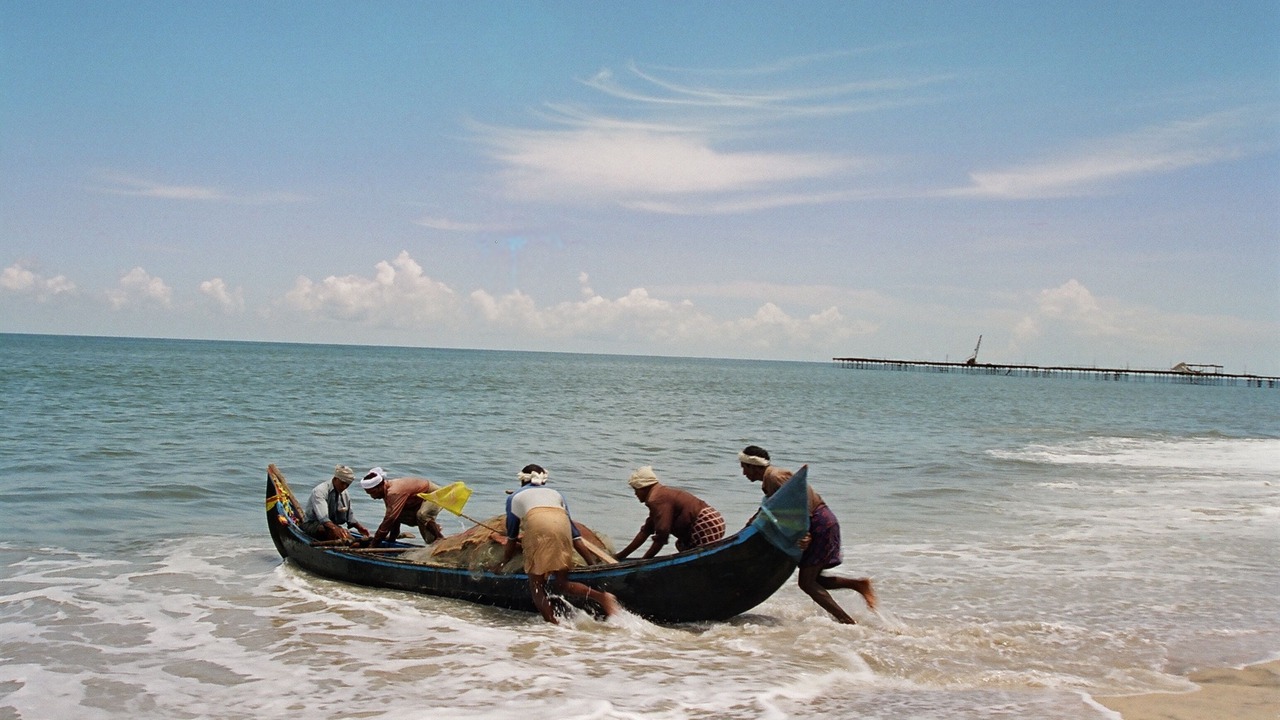 Photo of Others in Alappuzha