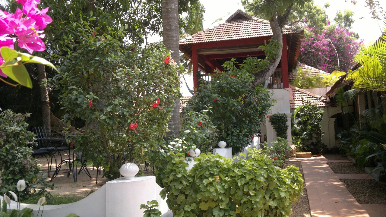 Photo of Outdoor in Alappuzha