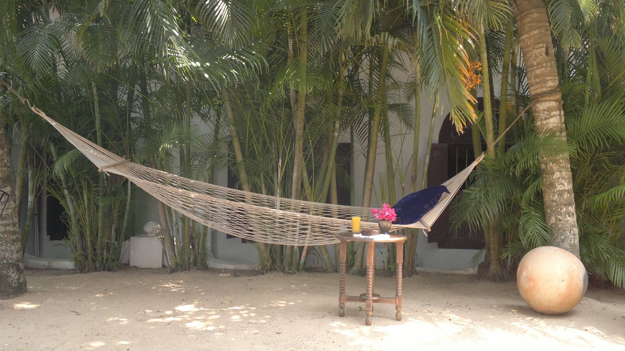 Photo of Outdoor in Alappuzha